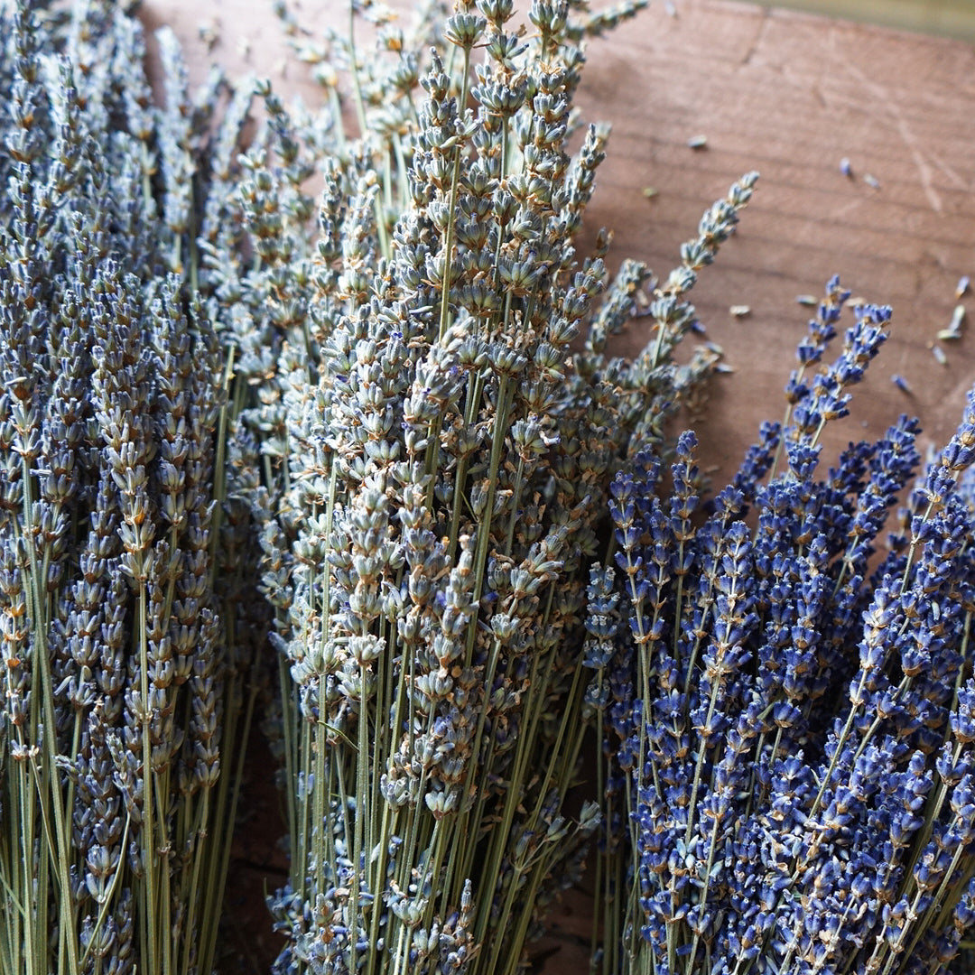 Single Herbs