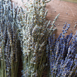 Single Herbs