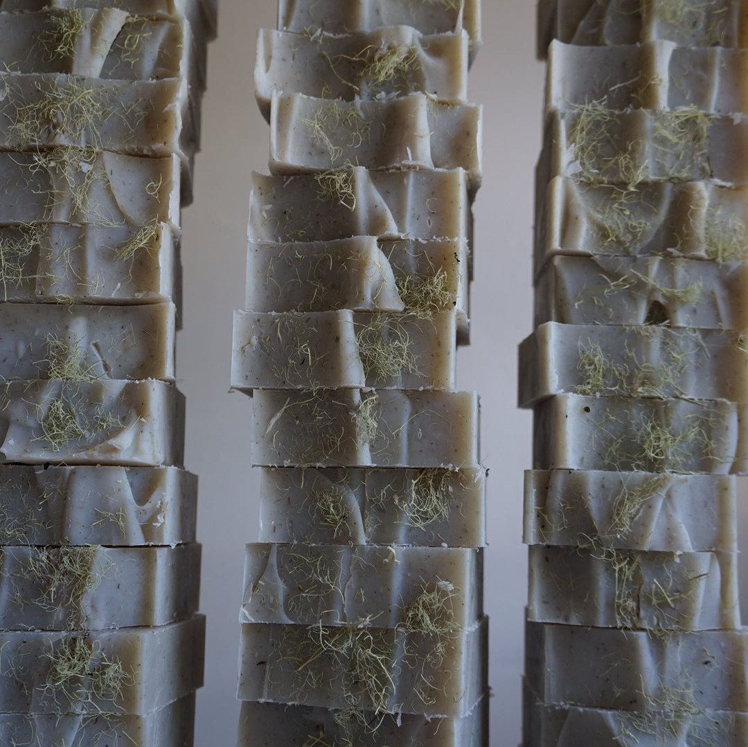 Cedarwood, Fir & Lichen Soap
