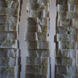 Cedarwood, Fir & Lichen Soap