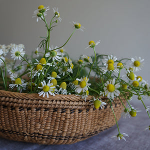 Blue Yarrow, Chamomile & Oat Soap