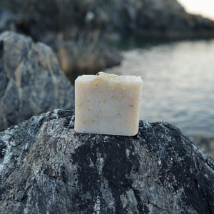 Cedarwood, Fir & Lichen Soap