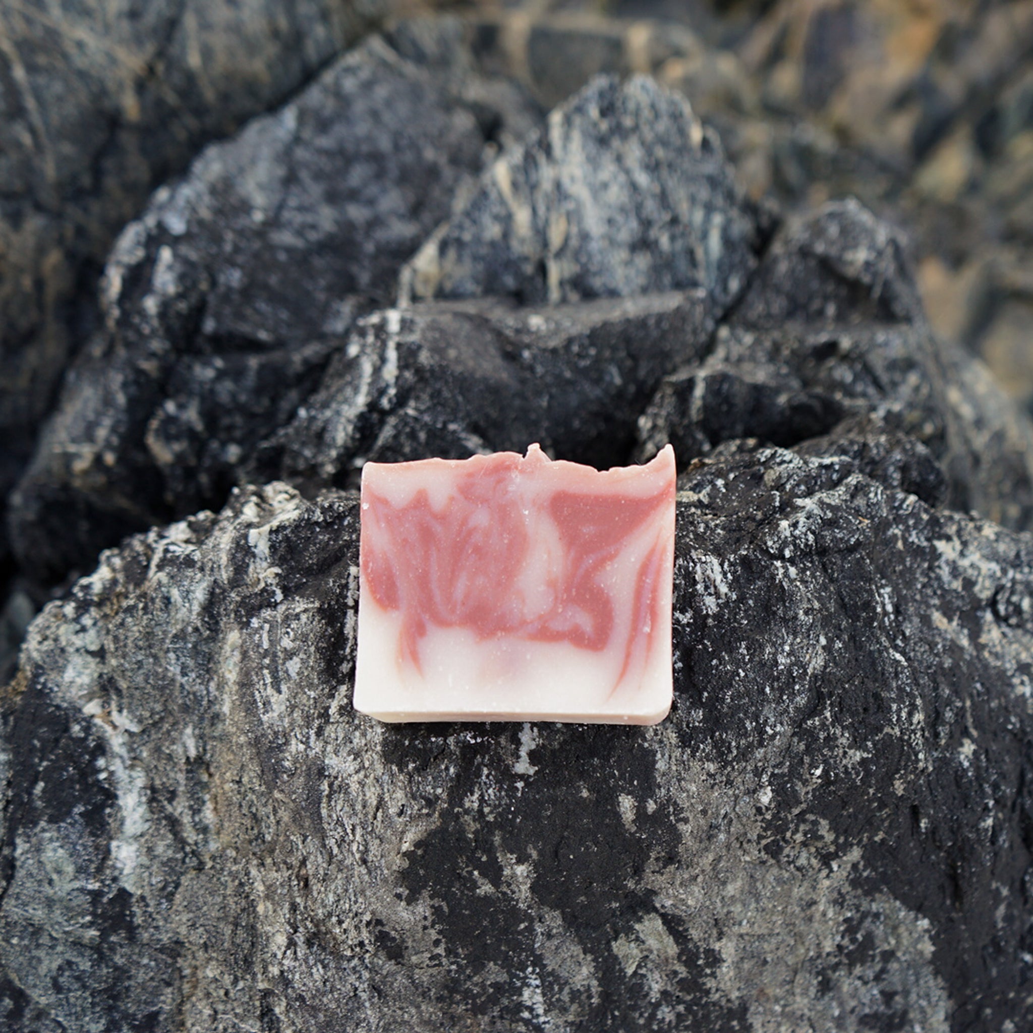 Salt of Venus Soap