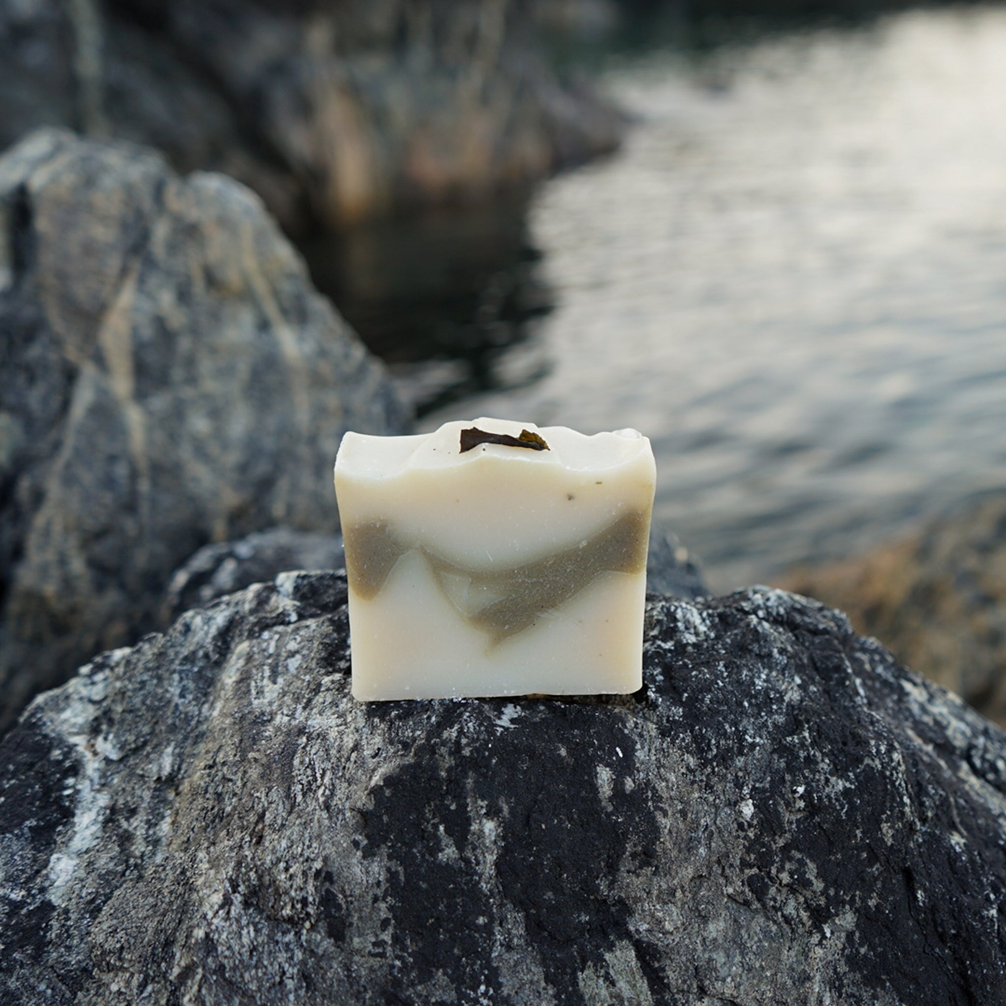 Wild Seaweed & Mint Soap