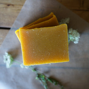 Angelica Carrot Cassia Soap