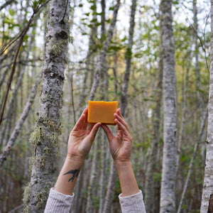 Angelica Carrot Cassia Soap