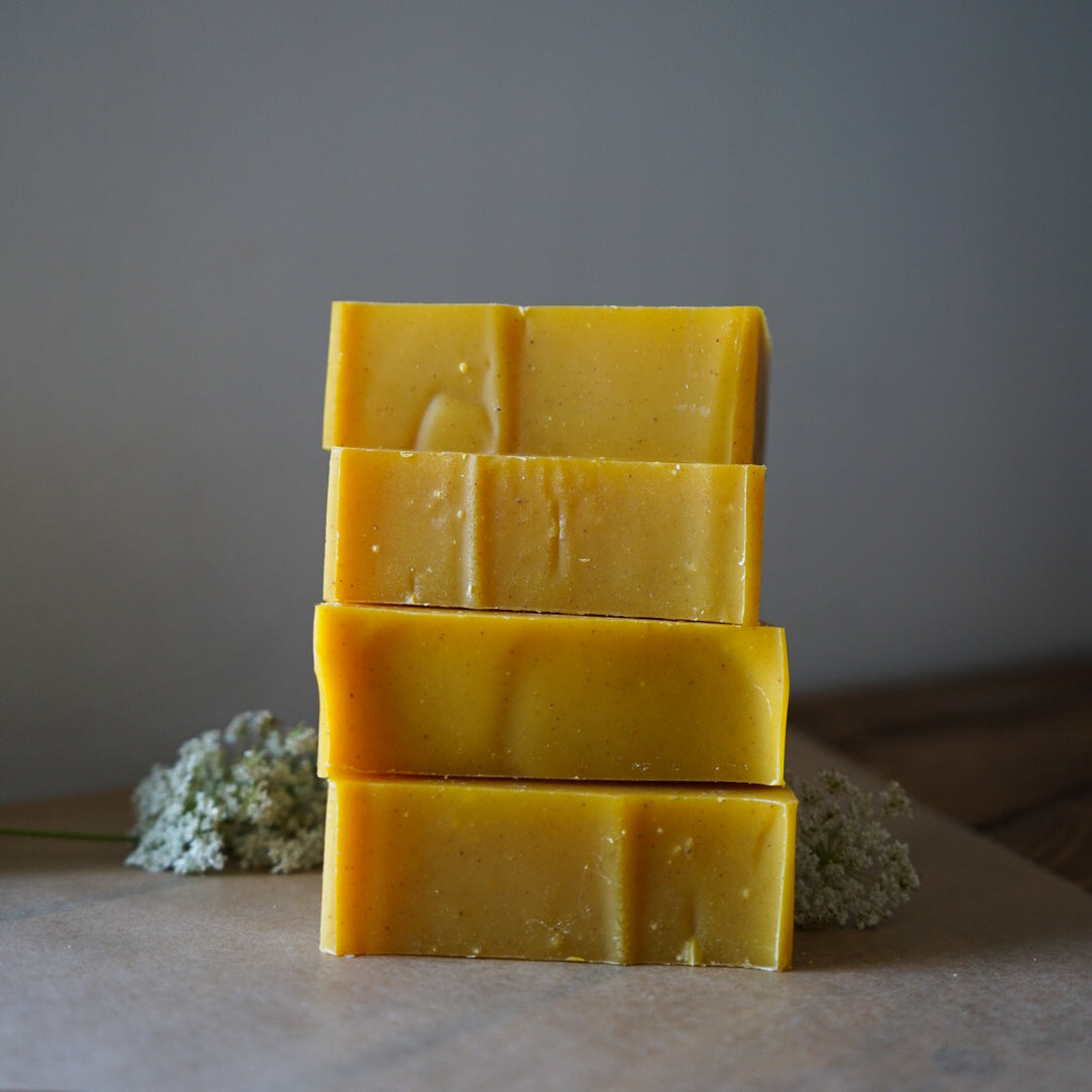 Angelica Carrot Cassia Soap
