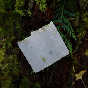 Cedar Fir Soap