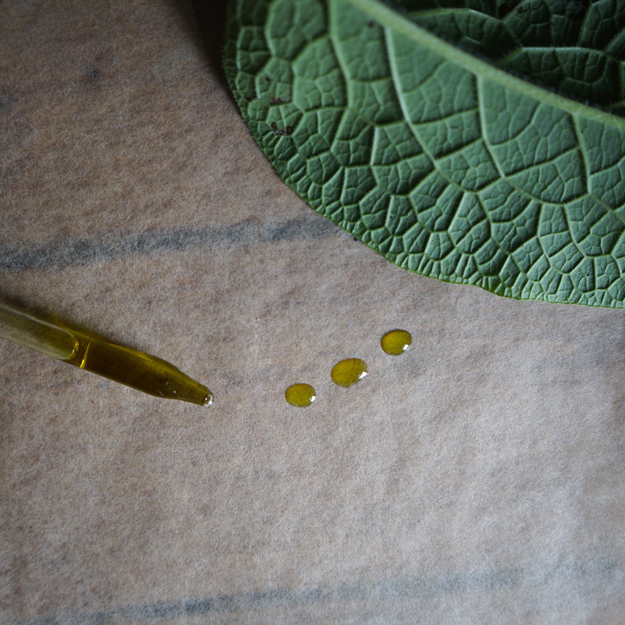 comfrey leaf oil